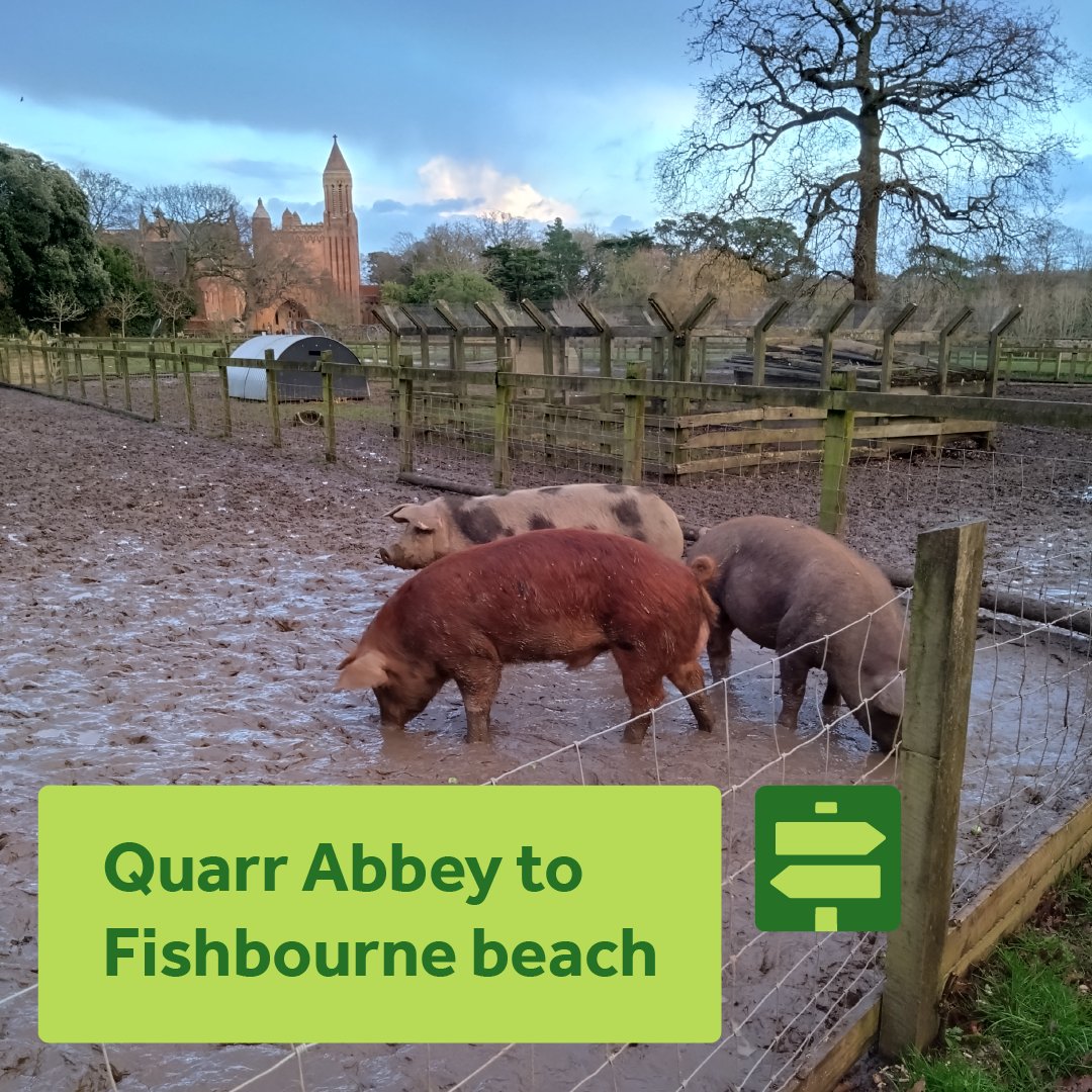 Winter walk 1 - Quarr Abbey to Fishbourne beach and back. This 1.4 mile amble starts and ends at Quarr Abbey. Parking and cafe available at Quarr Abbey Teashop & Farm Shop.
#winterwalks #iwnationallandscape #isleofwightnationallandscape #isleofwight #isleofwightwalks #quarrabbey