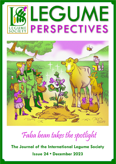 New free Legume Perspective issue: Faba Beans take the spotlight! Issue curated by <a href="/DiegoRubiales_/">Diego Rubiales</a> and Hamid Khazaei <a href="/khazaei_hamid/">Faba man</a> . Find this and previous issues on the ILS website: legumesociety.org/2019/12/02/leg…