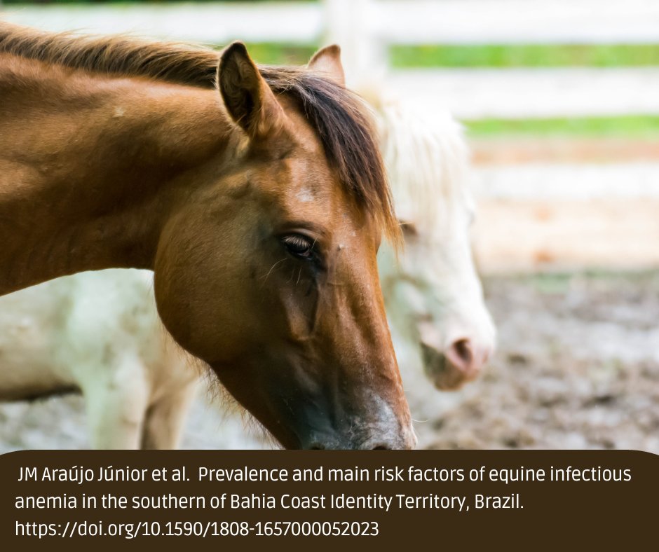Did you know that the state of Bahia has the third-largest equine herd in Brazil? 🇧🇷🐎 But, this study on Equine Infectious Anemia reveals a 25.58% prevalence in the region, w/ ⬆️rates in the cocoa zone compared to the livestock zone. 
🆓doi.org/10.1590/1808-1…