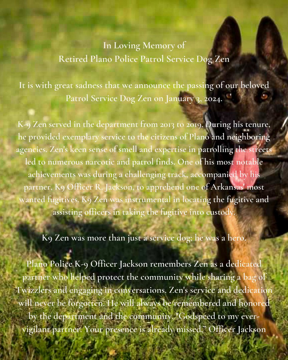 K9 Quotes - Etsy, image size:960x1200