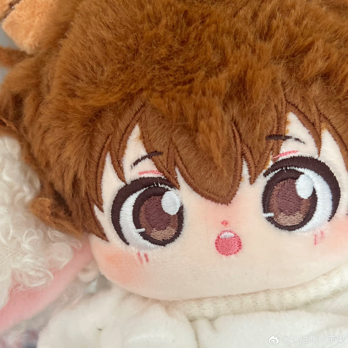 포돌🧸 tweet media