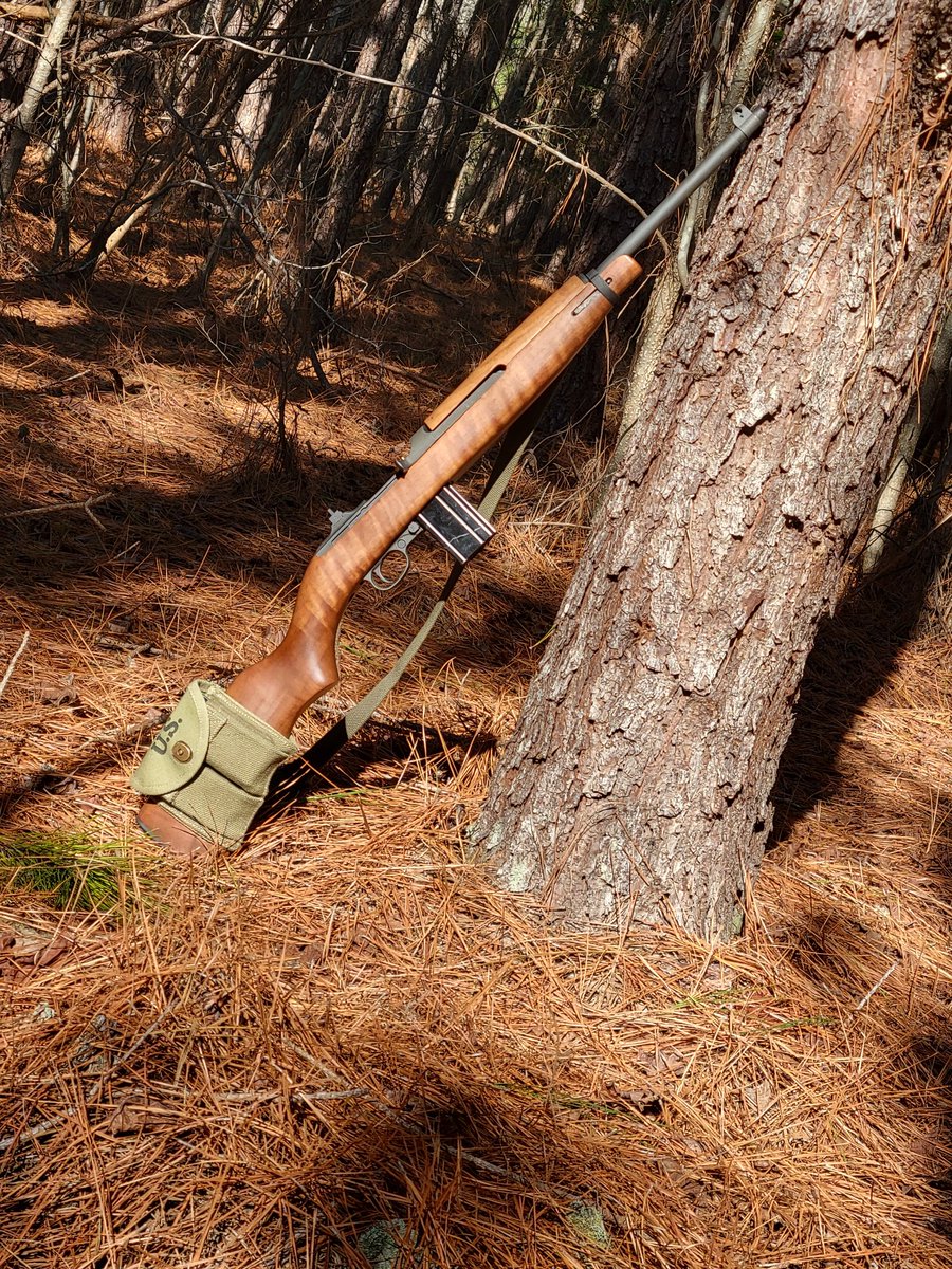 The Heavily Armed Homestead tweet media