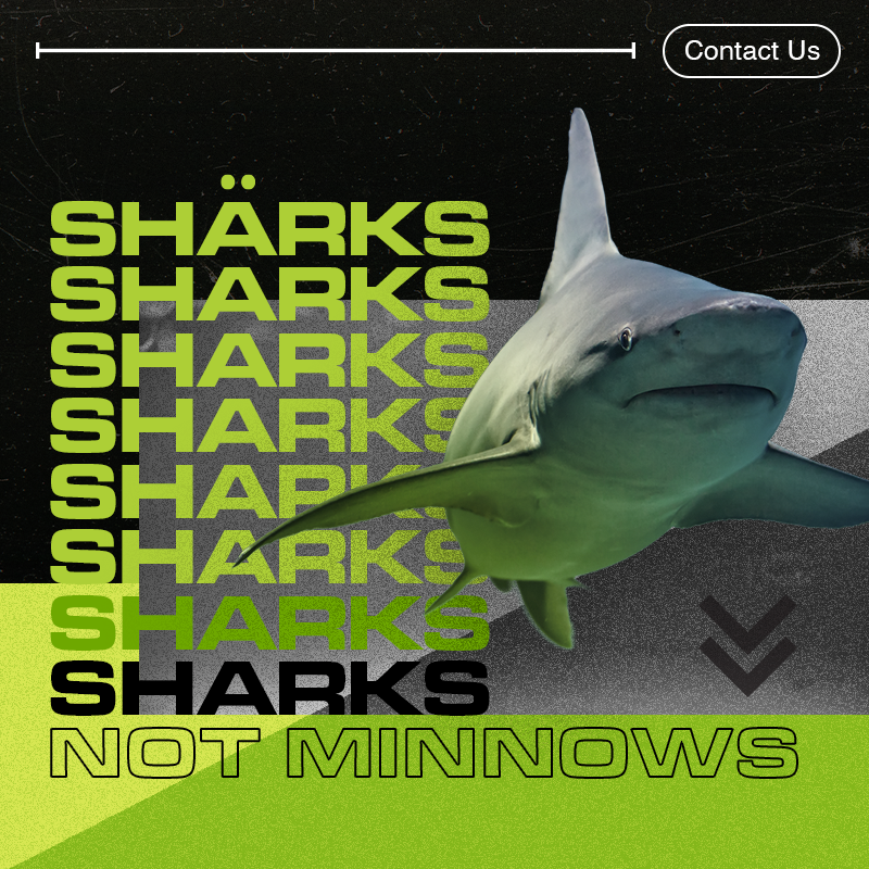 SystemaTechTN's tweet image. Cyber threats can hide like sharks. Please don't risk it. Invest in cyber liability insurance to stay safe. Contact us for help.
#LongTermSecurity #CyberLiabilityInsurance #SystemaTech