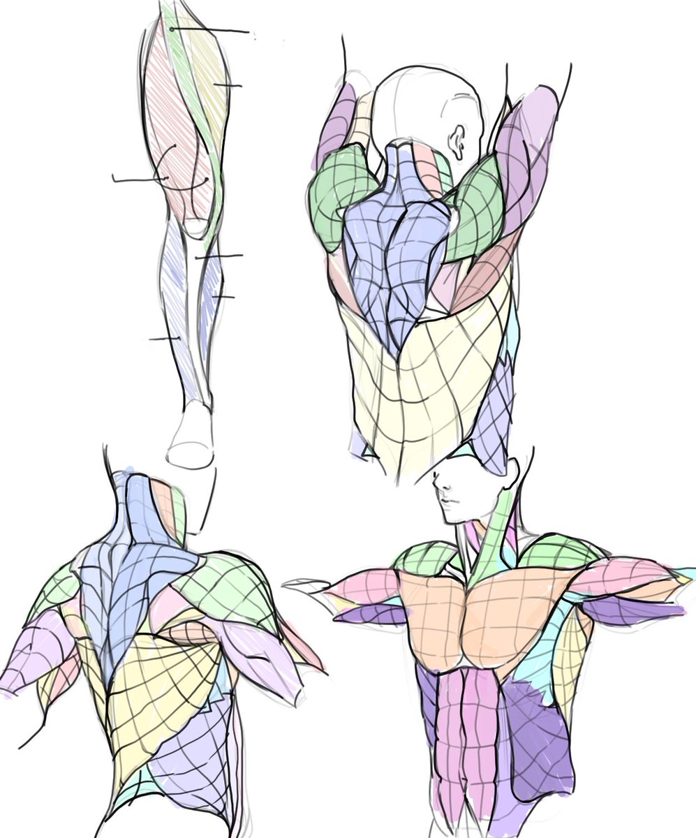 「#study 」Babduの漫画