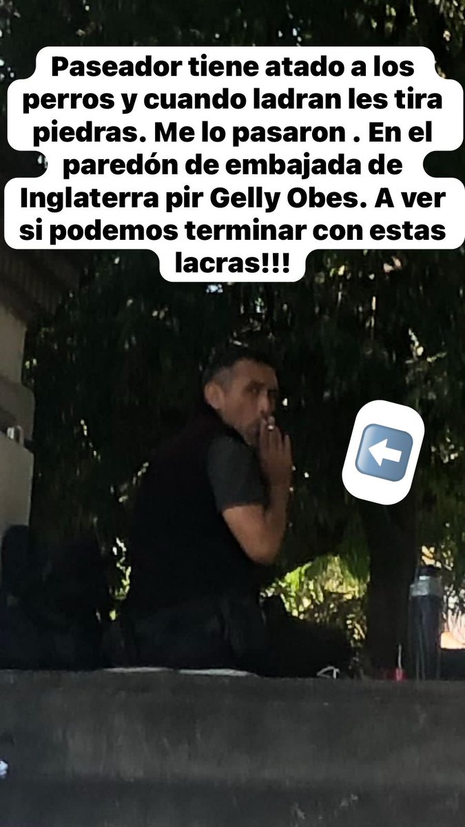 RaquelMait's tweet photo. Paseador basura que deja atado a los perritos y les tira piedras cuando ladran. Difundan x favor. Los pasea x la zona de embajada de Inglaterra. https://t.co/pyKzESZWcU