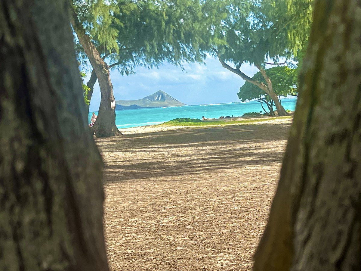 Katherine Pavidis (@pavidiskat) on Twitter photo First vacation in 3 years with no homework or deadlines First vacation in 3 years with no homework or deadlines
