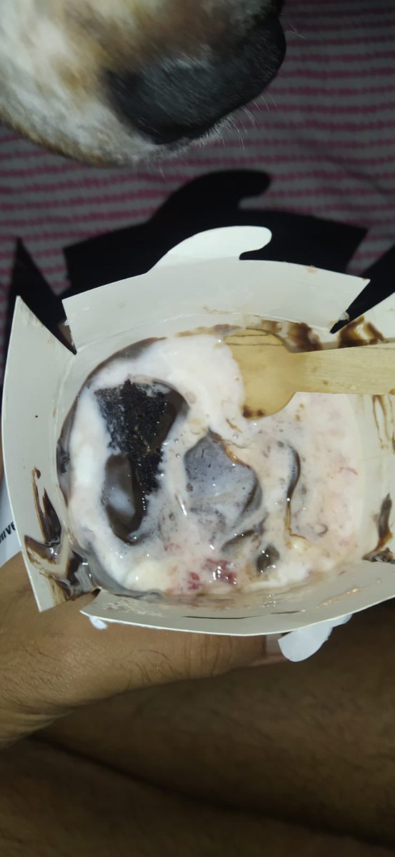 RjDhwani's tweet photo. @Swiggy  swiggy dont care! ice cream delivered melted and the burger was badly spilled 
no help from swiggy care ... https://t.co/Kx3aqVQxro