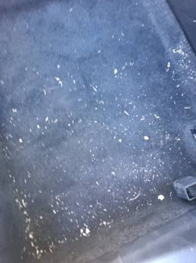 GregBollis's tweet photo. You make the call! @Budget charged me a $125 cleaning fee as "a penalty for returning a vehicle in such condition". These are their photos of the carpet in front of each seat. NOTE: the car did not have floor mats. In all images, you are seeing sand. #BoycottBudget https://t.co/AKe5K8zezq