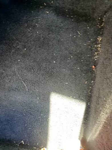 GregBollis's tweet photo. You make the call! @Budget charged me a $125 cleaning fee as "a penalty for returning a vehicle in such condition". These are their photos of the carpet in front of each seat. NOTE: the car did not have floor mats. In all images, you are seeing sand. #BoycottBudget https://t.co/AKe5K8zezq