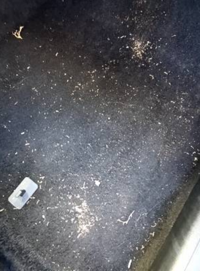 GregBollis's tweet photo. You make the call! @Budget charged me a $125 cleaning fee as "a penalty for returning a vehicle in such condition". These are their photos of the carpet in front of each seat. NOTE: the car did not have floor mats. In all images, you are seeing sand. #BoycottBudget https://t.co/AKe5K8zezq