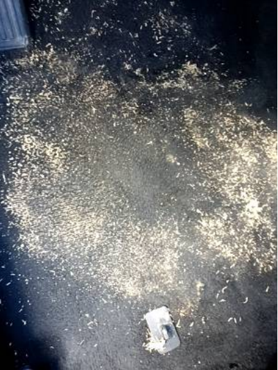 GregBollis's tweet photo. You make the call! @Budget charged me a $125 cleaning fee as "a penalty for returning a vehicle in such condition". These are their photos of the carpet in front of each seat. NOTE: the car did not have floor mats. In all images, you are seeing sand. #BoycottBudget https://t.co/AKe5K8zezq