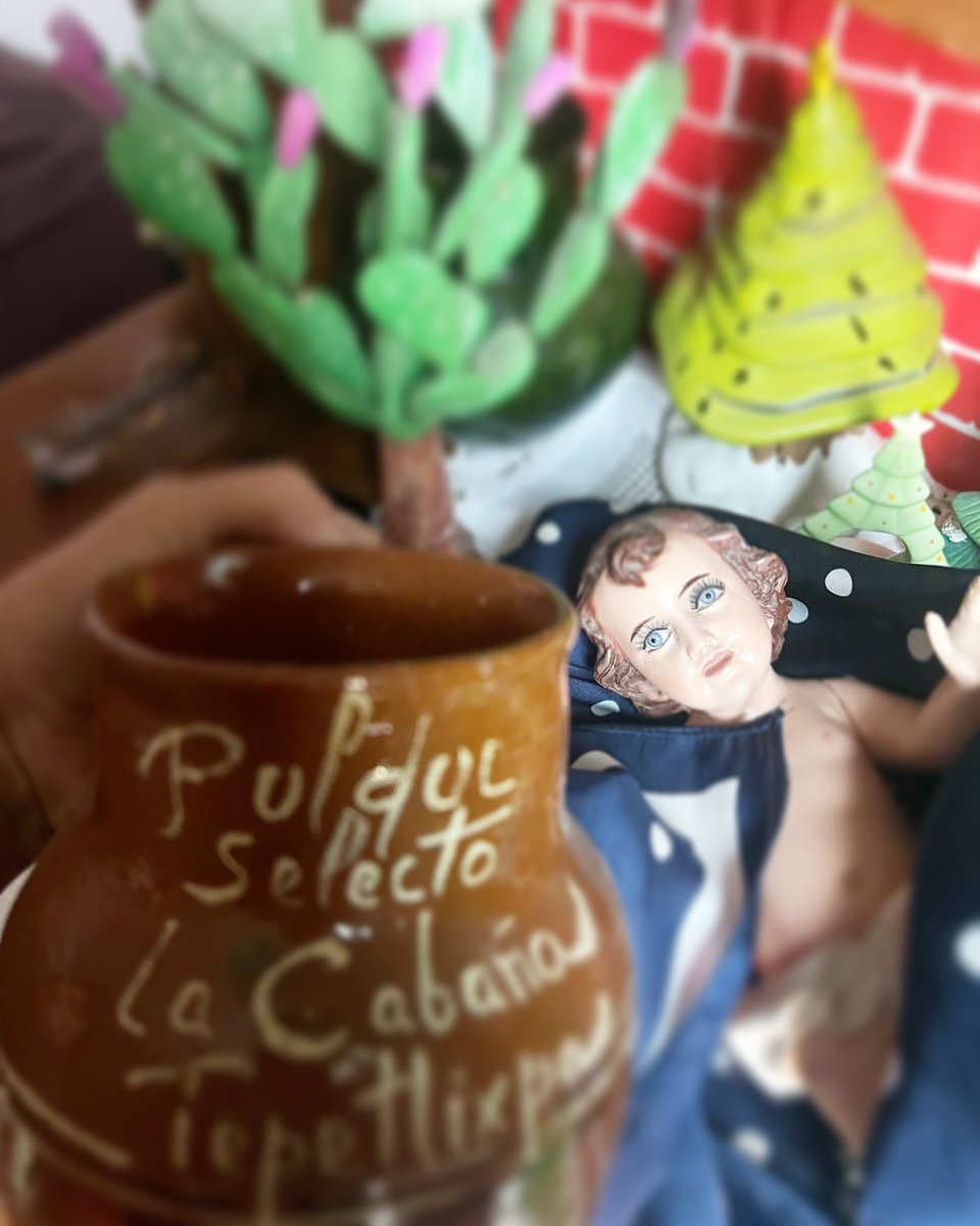 Que dice el niñito dios que quiere que brindemos con #pulque este #2024 y dejemos los malos alcoholes.
Bebé pulque el los primeros  días de 2024 y crecerás fuerte y sano de espíritu, huesos, alas, rabadilla y bofe todo el año…. Lala Noguera

#tlachiquero #maguey #agave #ano2024