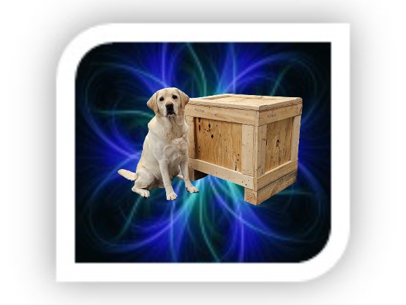 SABRLLC's tweet image. What&apos;s in the box?
SABR&apos;s Top-Security Watchdog, Blake, is waiting for ABF Freight to pick up this customized Large Bore Halbach Array Permanent Magnet Assembly. He&apos;s such a good boy. #halbach #halbacharray #permanentmagnet #sabr