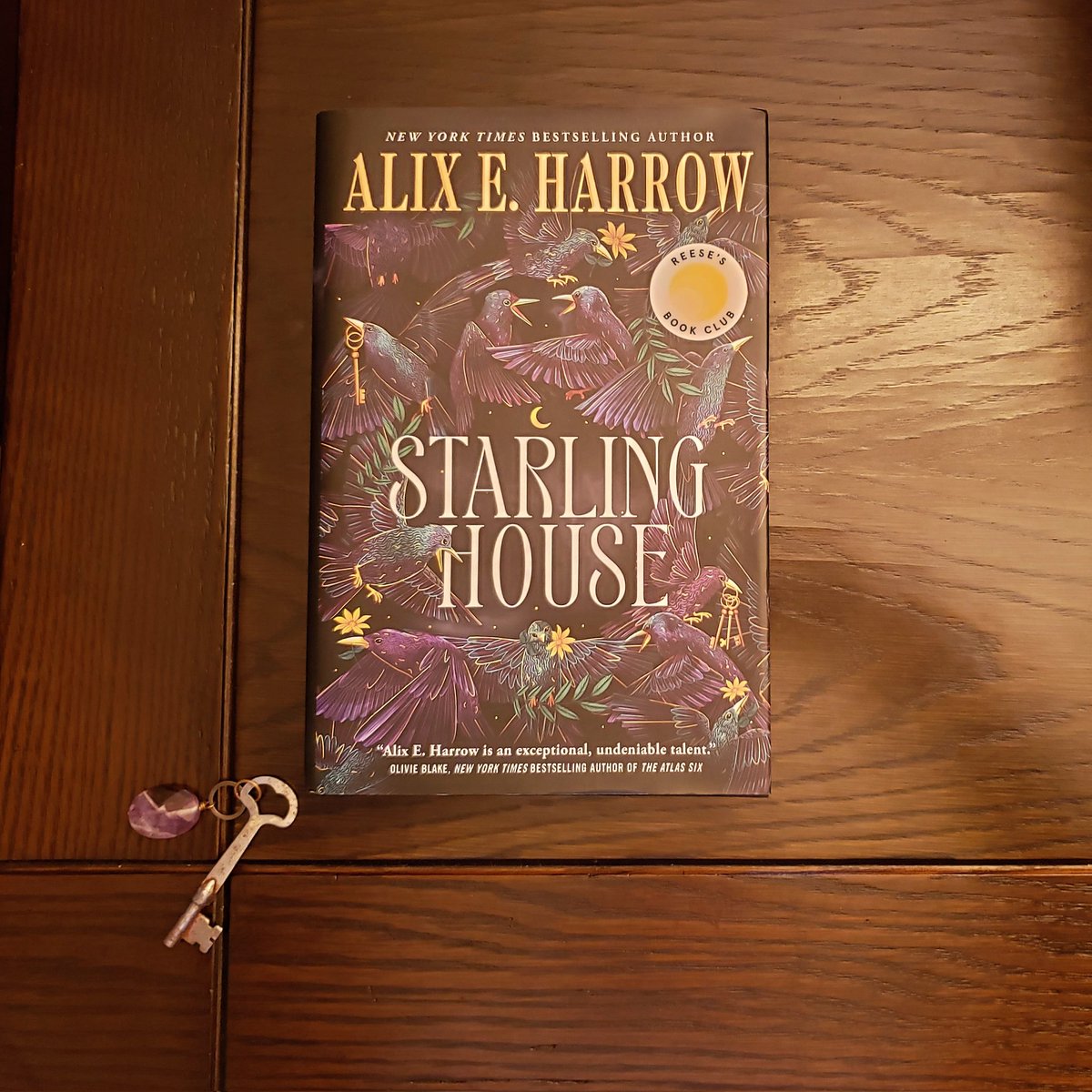 AmyThyrde's tweet photo. Starling House by Alix E Harrow. I couldn't put it down!

Appalachian Gothic. A mysterious mansion. A children's book. A brave young woman scraping by to raise her young brother.

Perfect if you ❤ Leigh Bardugo's Ninth House, Luisa Morgan's witchy novels, &amp; VE Schwab's Gallant. https://t.co/HOgwWQFcwP