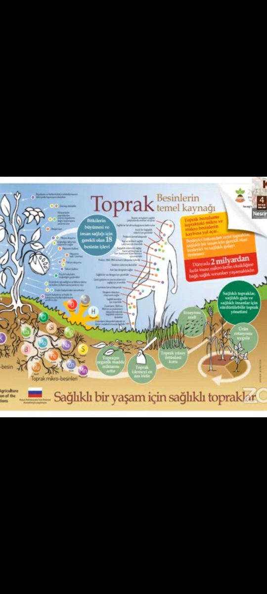 zeynep Eldeş Demirbaş (@eldeszeyne76247) on Twitter photo 