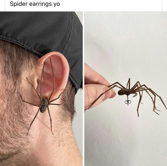 imagina ver alguém usando um brinco desses na rua