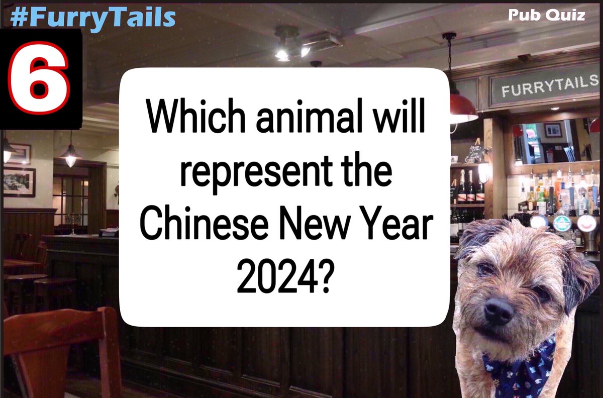 And now for question six pals #furrytails