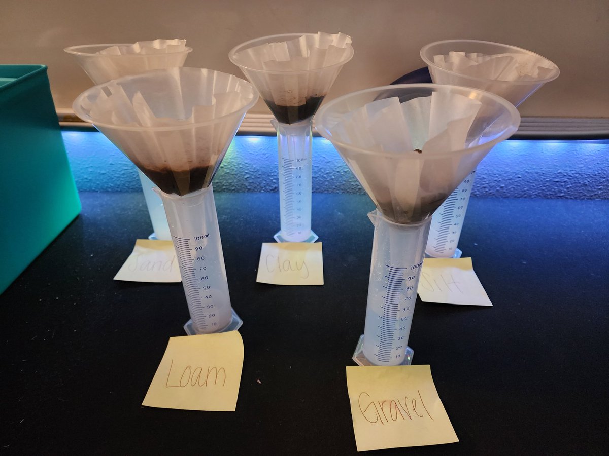 Lacy Alvarado π₯ (@alvarado_5th) on Twitter photo Water Retention on Soil with the #AlvaradoAllstars today! I love lab days <a href="/CISDSpechtElem/">Specht Elementary</a> <a href="/WoodsComal/">Katie Woods</a> Water Retention on Soil with the #AlvaradoAllstars today! I love lab days <a href="/CISDSpechtElem/">Specht Elementary</a> <a href="/WoodsComal/">Katie Woods</a>