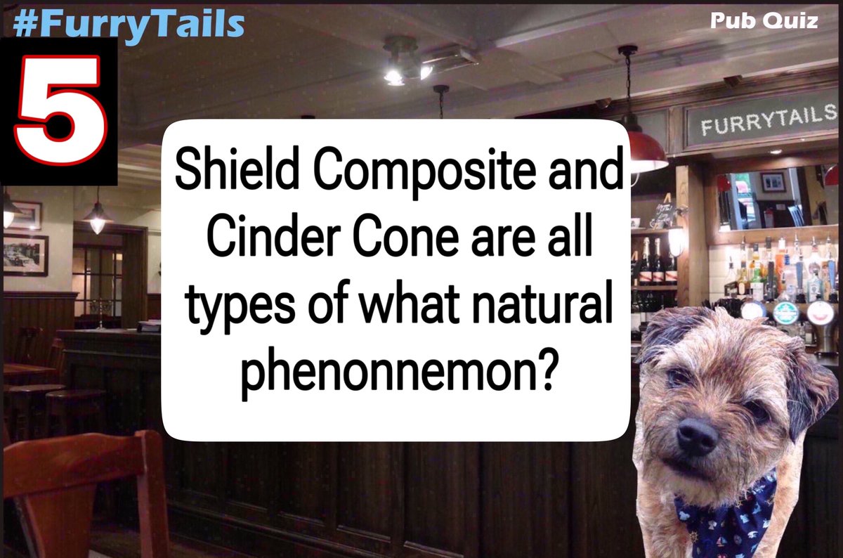 And we are half way through the quiz now and do you know this one pals #furrytails