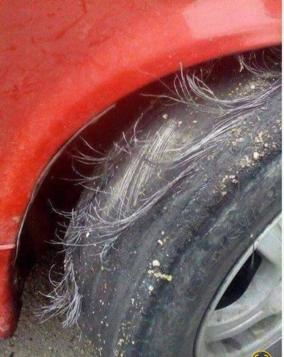 Thinkwert's tweet photo. My tires have got these little threads growing on them and I think it is so cute. Like a little fuzzy sweater to keep them warm. https://t.co/6IHukFWdly