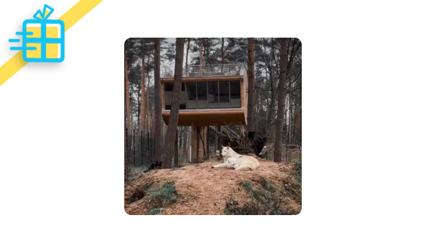 Someone contributed &euro;10.10 to my "Night with 🐺" wish goal of &euro;750.00 💎☄️🌟💎  Check out my wishlist here: