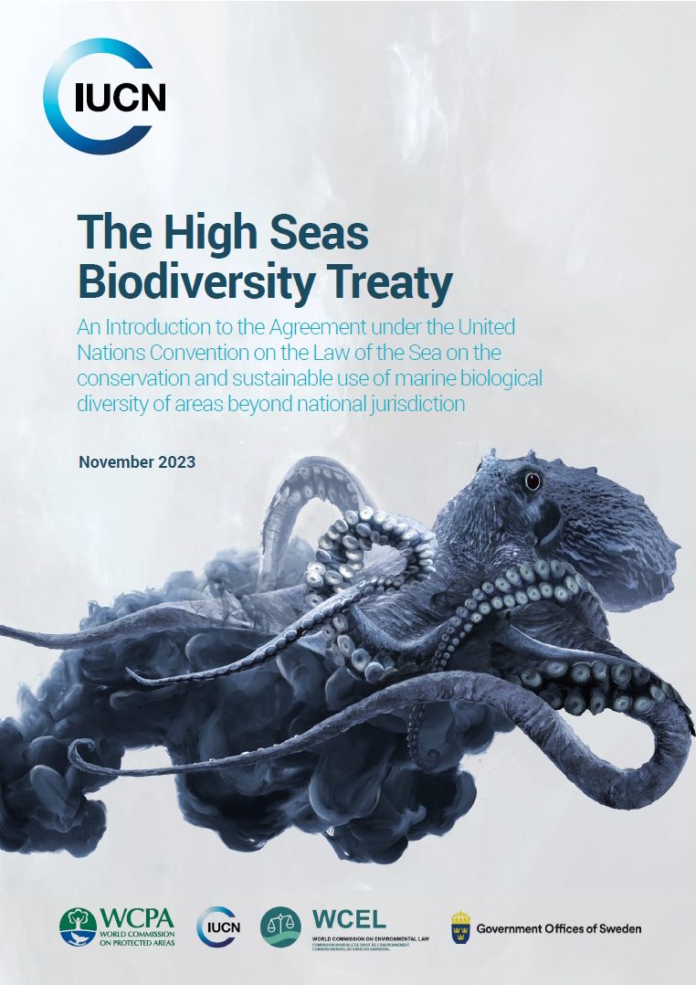 Did you miss it? The recently launched <a href="/IUCN/">IUCN</a> report on the #HighSeasTreaty gives an accessible at-a-glance introduction to the Treaty for non #BBNJ experts.

More digestible than the Treaty text itself, the report adds analysis &amp; next important steps 👉 bit.ly/4a4SjAT