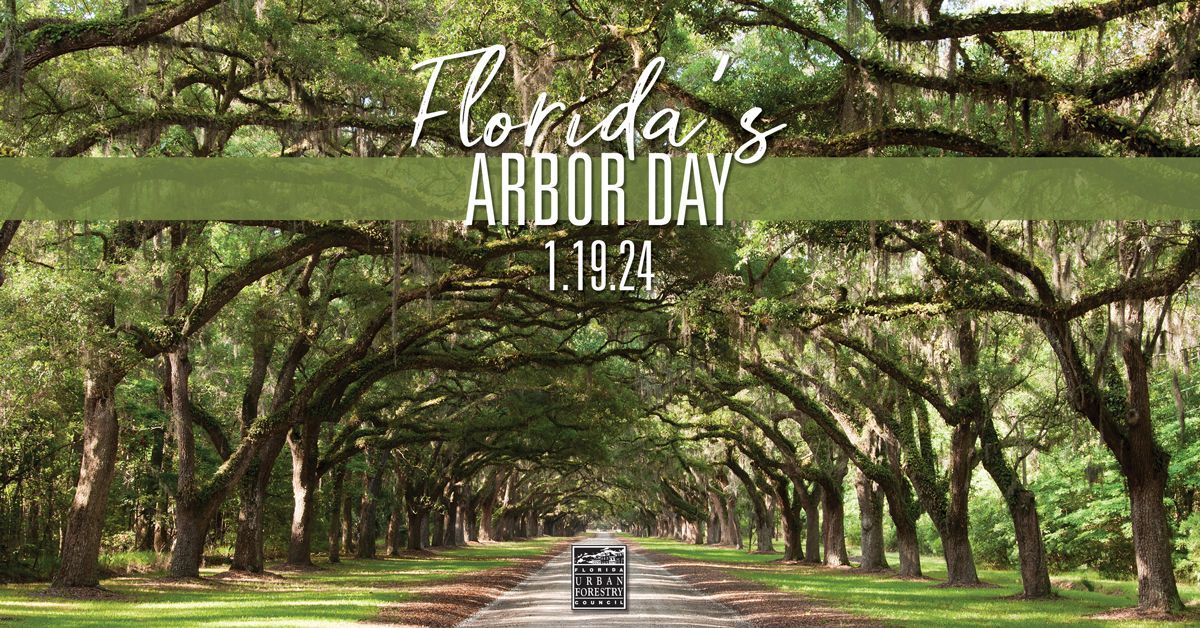 Florida's Arbor Day is recognized each year on the 3rd Friday in January; this year on January 19. How will you celebrate? Please share your events online and help bring awareness to the importance of our urban forests!

#FloridaArborDay #FloridaTrees #UrbanForestry #ArborDay