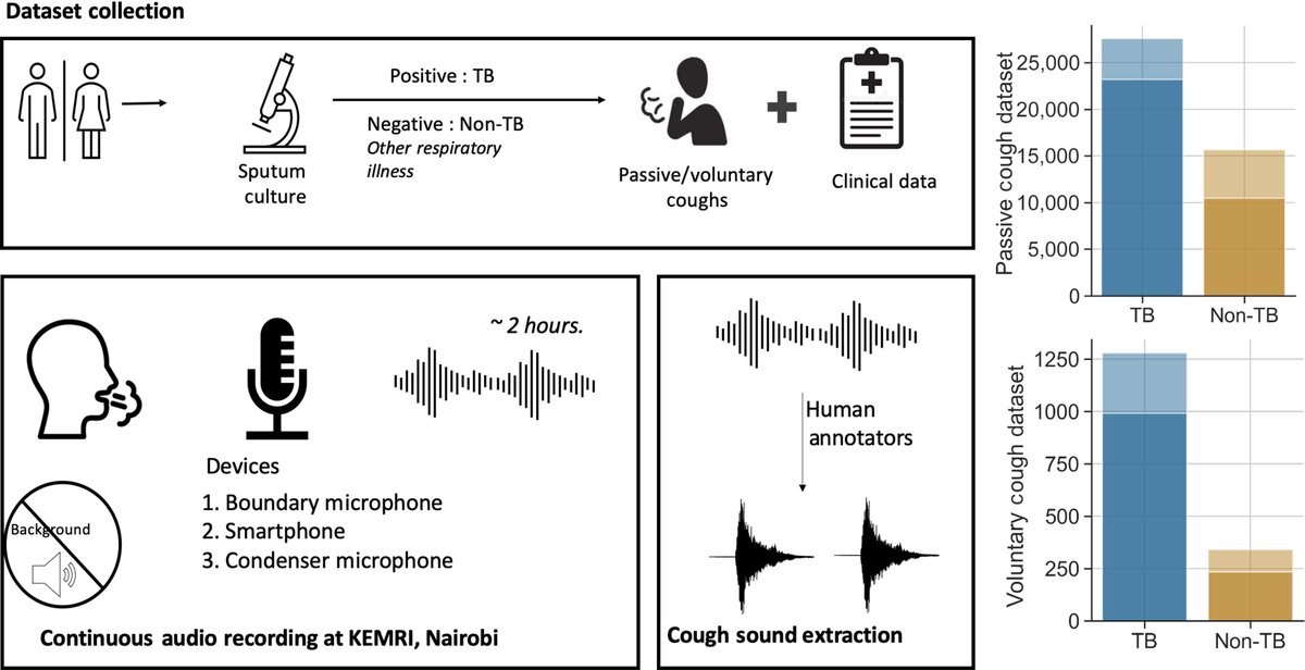 A new smartphone-based diagnostic tool employed in a Kenyan healthcare center identified coughs from 149 patients with tuberculosis, distinguishing them from 46 other patients with different respiratory sicknesses. scim.ag/5p1