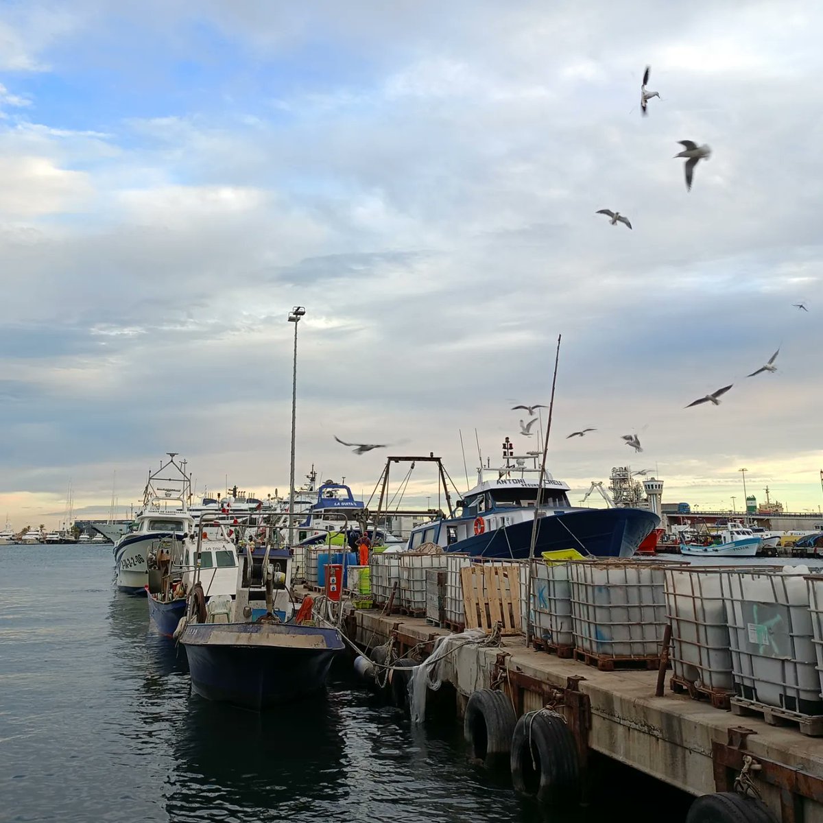 homscm's tweet photo. 🐟⛵El Serrallo,
Antic barri de pescadors de #Tarragona https://t.co/OvPgfXv0T2