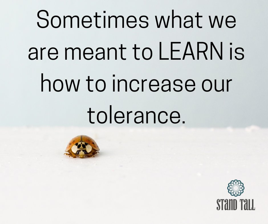 STANDTALL_LLC's tweet photo. https://t.co/j6661KYYDR