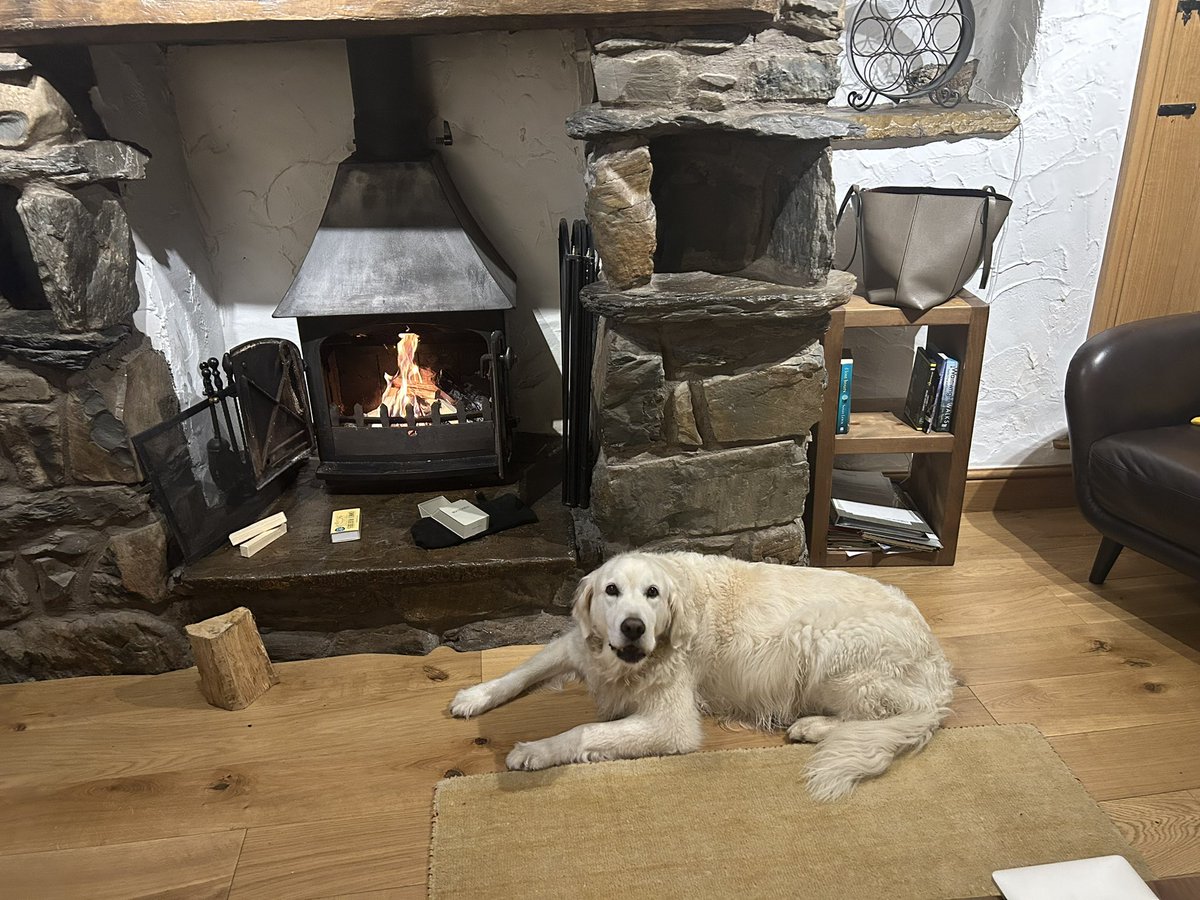 BrewDoge's tweet photo. Here’s some photos of Luna on her last holiday in the Lake District in October. She loved everything (apart from the boat ride which was unexpected as she loves swimming so much!) https://t.co/xHAFgJbTHO