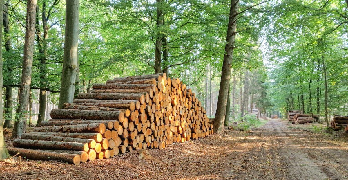 Guest post: Why resolving how land emissions are counted is critical for tracking climate progress | <a href="/mattgidden/">Matthew Gidden</a> Thomas Gasser <a href="/giac_grassi/">giacomo grassi</a>

Read here: bit.ly/3SeRK0F