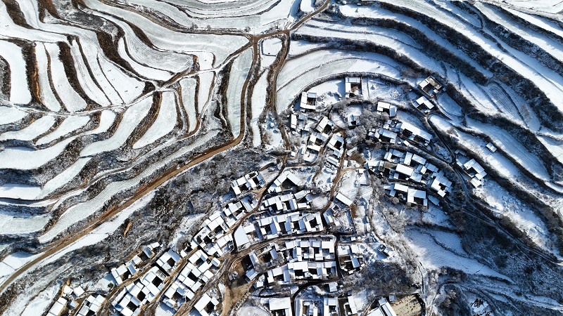 ExploreGansu's tweet photo. ❄️🌿❄️Vast areas of terraced fields in Wushan county of #Tianshui in #Gansu province were graced by a sea of white snowflakes and misty fog as the region took on the air of an ink wash painting. #SnowscapeSplendor #GansuGlance #AmazingGansu https://t.co/s2SHepqfjo