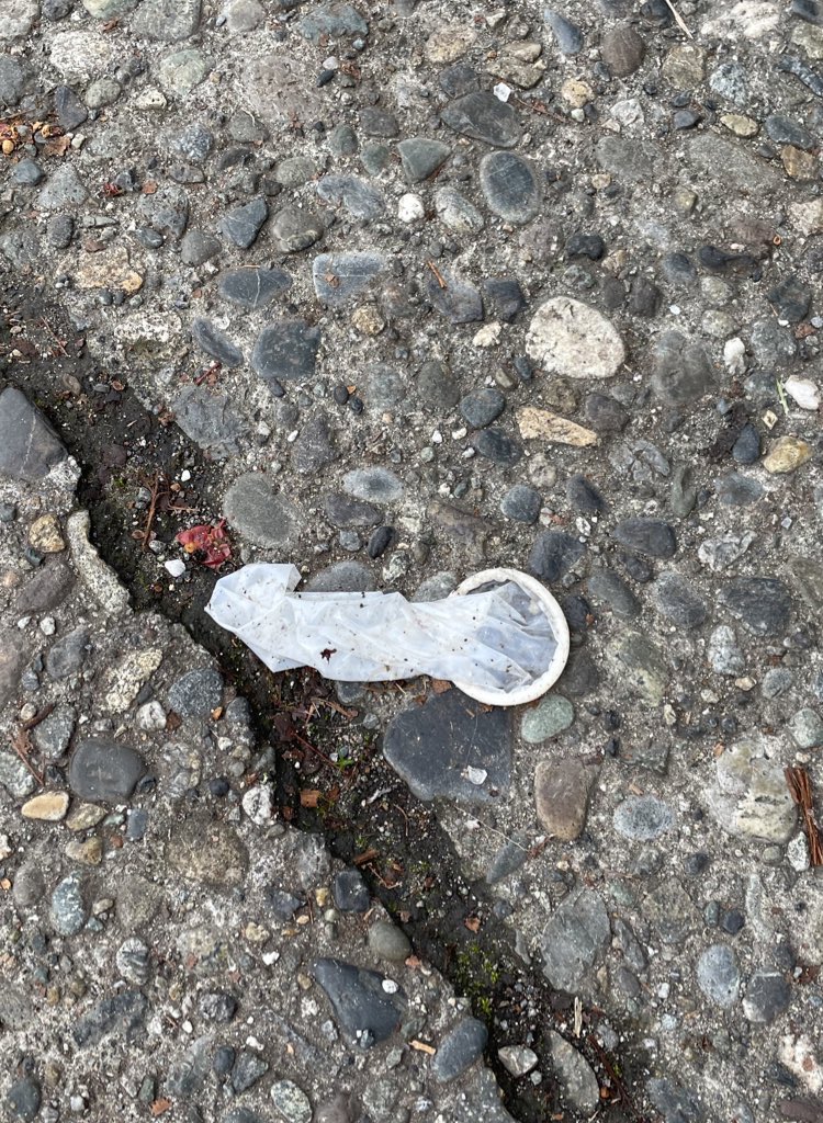 Shaakeal_Oneil's tweet photo. @CMSaraNelson @SeattleCouncil @CMSaraNelson District 5 needs your help. #LictonSprings has long been overrun with sex trafficking. Neighbors are forced to navigate through a mine field of toxic sex trade trash and pimp garbage on a daily basis. Our streets more closely resemble a landfill than a neighborhood. https://t.co/Ux6rbszjKI