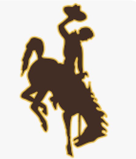 Rowdy Bauer tweet media