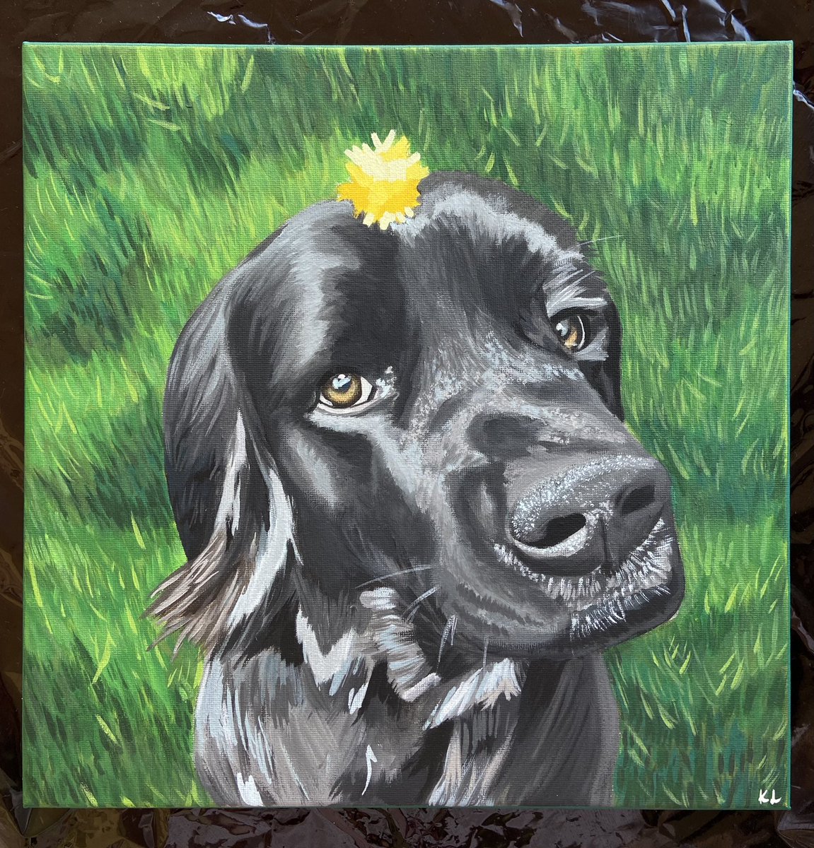 Finished commission on 12” by 12” canvas 🐶