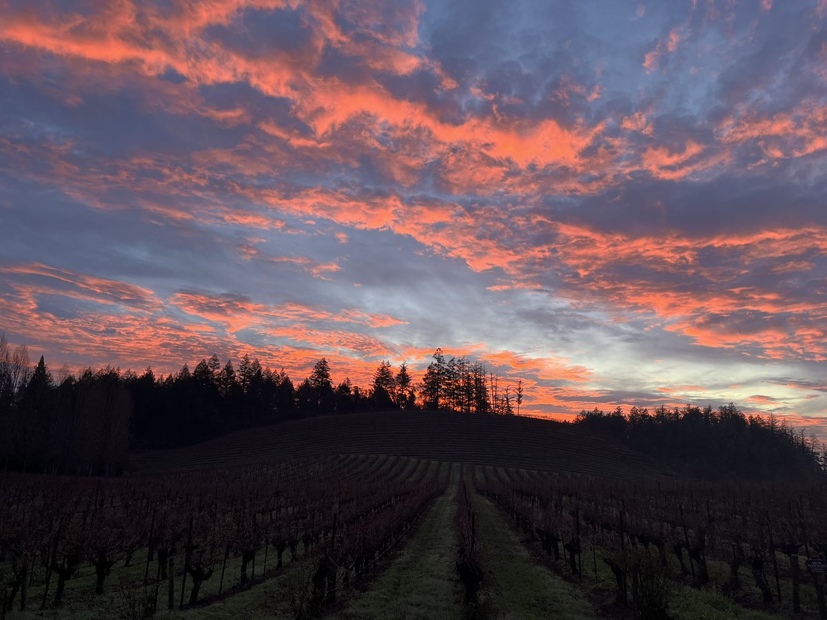 Good morning and Happy New Year!