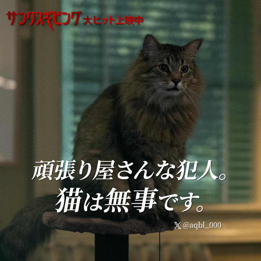 ThanksgivingJPN's tweet photo. 🗣“頑張り屋さんな犯人。猫は無事です。”

映画『#サンクスギビング』＜R18+＞
大ヒット上映中
お近くの上映劇場▼
https://t.co/gljoUUo2vR

#サンクスギビングごちそうさま https://t.co/pdx35jIRhn