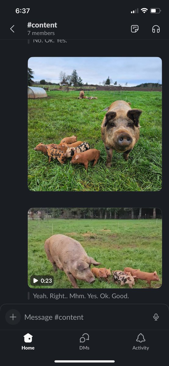 So <a href="/SlackHQ/">Slack</a> does a pretty decent job with transcribing pig.
