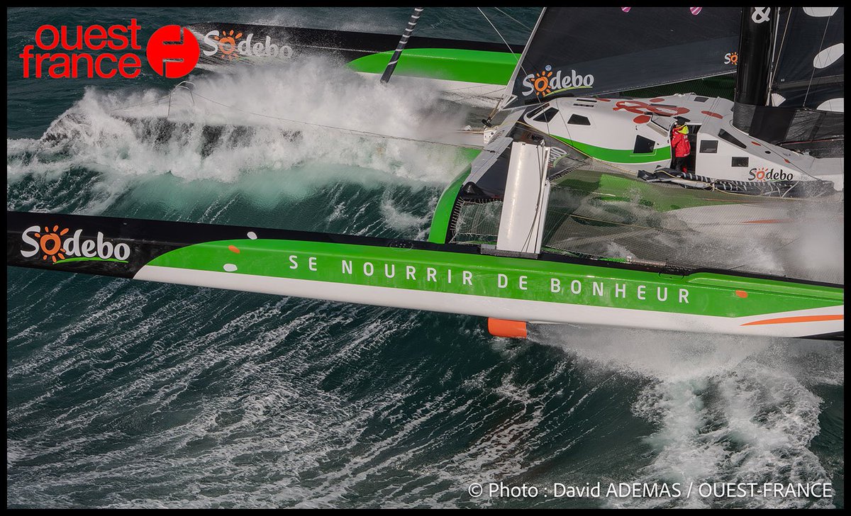 ADEMAS David tweet media