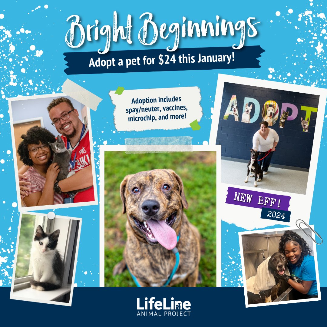 The new year is a time for bright beginnings and there's no better way to do that than with a new best friend by your side! Looking for a running buddy, a movie night pal, or just another smile to add to the family? Adoptions are only $24 all January long! LifeLineAnimal.org/adopt