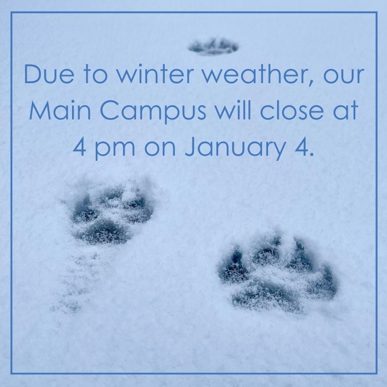 AnimalHumaneNM's tweet image. Due to winter weather, our Main Campus will close at 4 pm today, Thursday, January 4. Our Westside Adoption Center is open until 6 pm at this time.