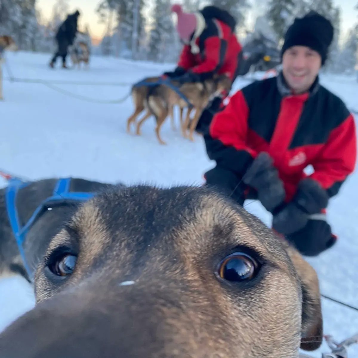 DanielCasper84's tweet photo. Been back a week ago today, miss Finland and 2 months of solid acting work https://t.co/xYf1YPuCJK
