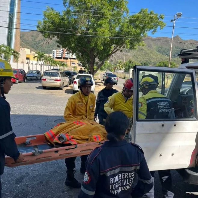 Zoedancarabobo1's tweet photo. Efectivos del Sistema Nacional de Riesgos en conjunto con Bomberos UC, Bomberos Forestales y Voluntarios de Rescate Naguanagua, lograron la captura de un animal silvestre (Venado) que se encontraba en el C.C. Sambil Valencia, el mismo fue traslado al Zoo Aquarium. https://t.co/FTM9DfhmMc