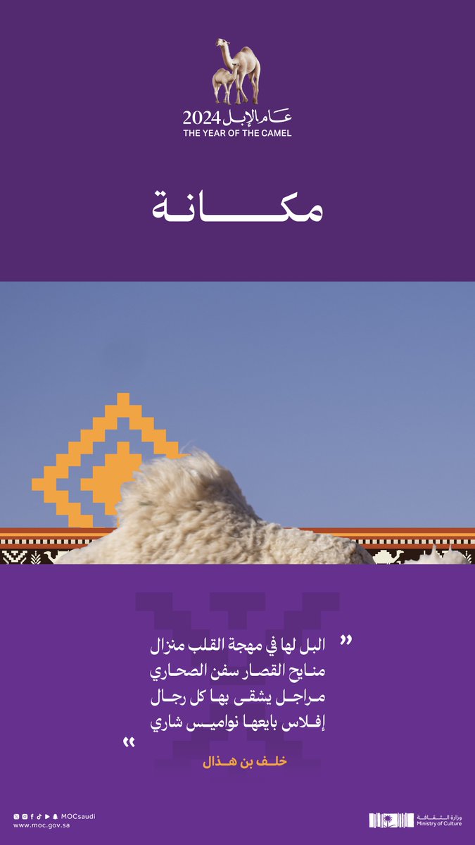 MOCSaudi's tweet photo. على خُطى حادي العيس.. نقتفي أثر الإبل في الشعر ونفاخر.

#عام_الإبل_2024 
#وزارة_الثقافة https://t.co/mviXNvXPm5