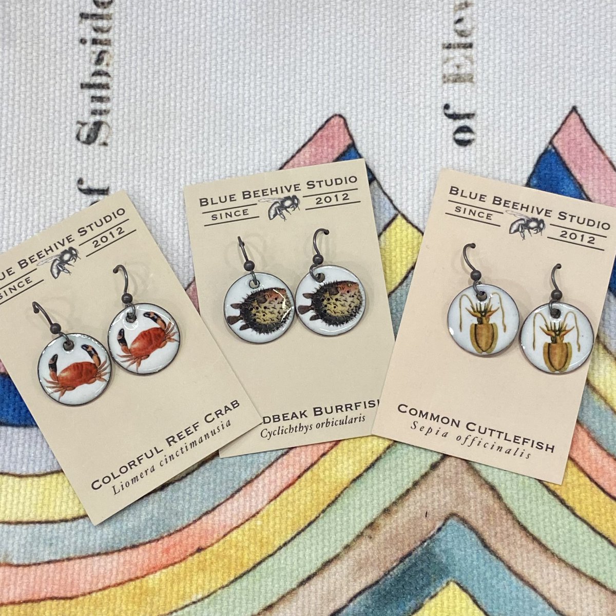 theBlueBeehive's tweet photo. Missed #SICB2024 this year? Items will slowly be added back to the Etsy shop after Jan 9th! https://t.co/4AbRoPDKDc