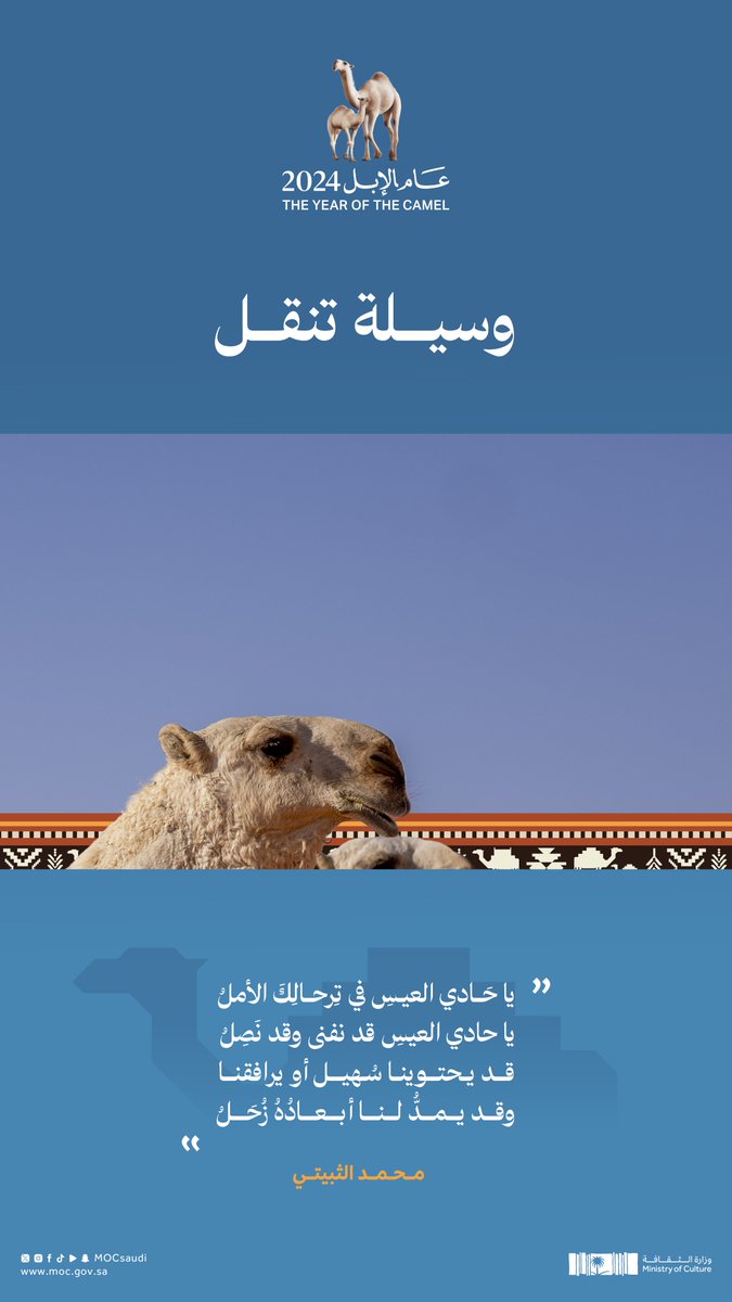 MOCSaudi's tweet photo. على خُطى حادي العيس.. نقتفي أثر الإبل في الشعر ونفاخر.

#عام_الإبل_2024 
#وزارة_الثقافة https://t.co/mviXNvXPm5