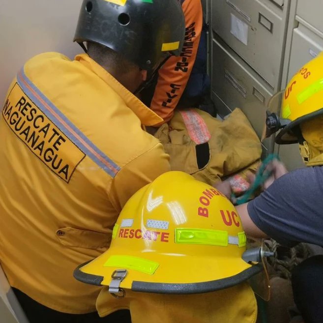 Zoedancarabobo1's tweet photo. Efectivos del Sistema Nacional de Riesgos en conjunto con Bomberos UC, Bomberos Forestales y Voluntarios de Rescate Naguanagua, lograron la captura de un animal silvestre (Venado) que se encontraba en el C.C. Sambil Valencia, el mismo fue traslado al Zoo Aquarium. https://t.co/FTM9DfhmMc