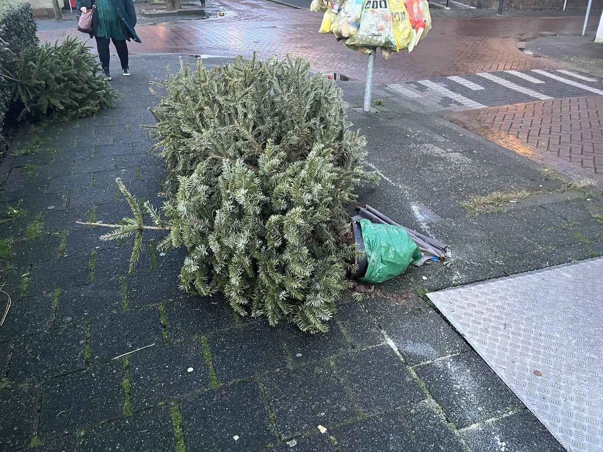 larsroobol's tweet image. Als je tóch je #kerstboom wikt weggooien, waarom koop je er dan een met #kluit? 🤷🏻‍♂️