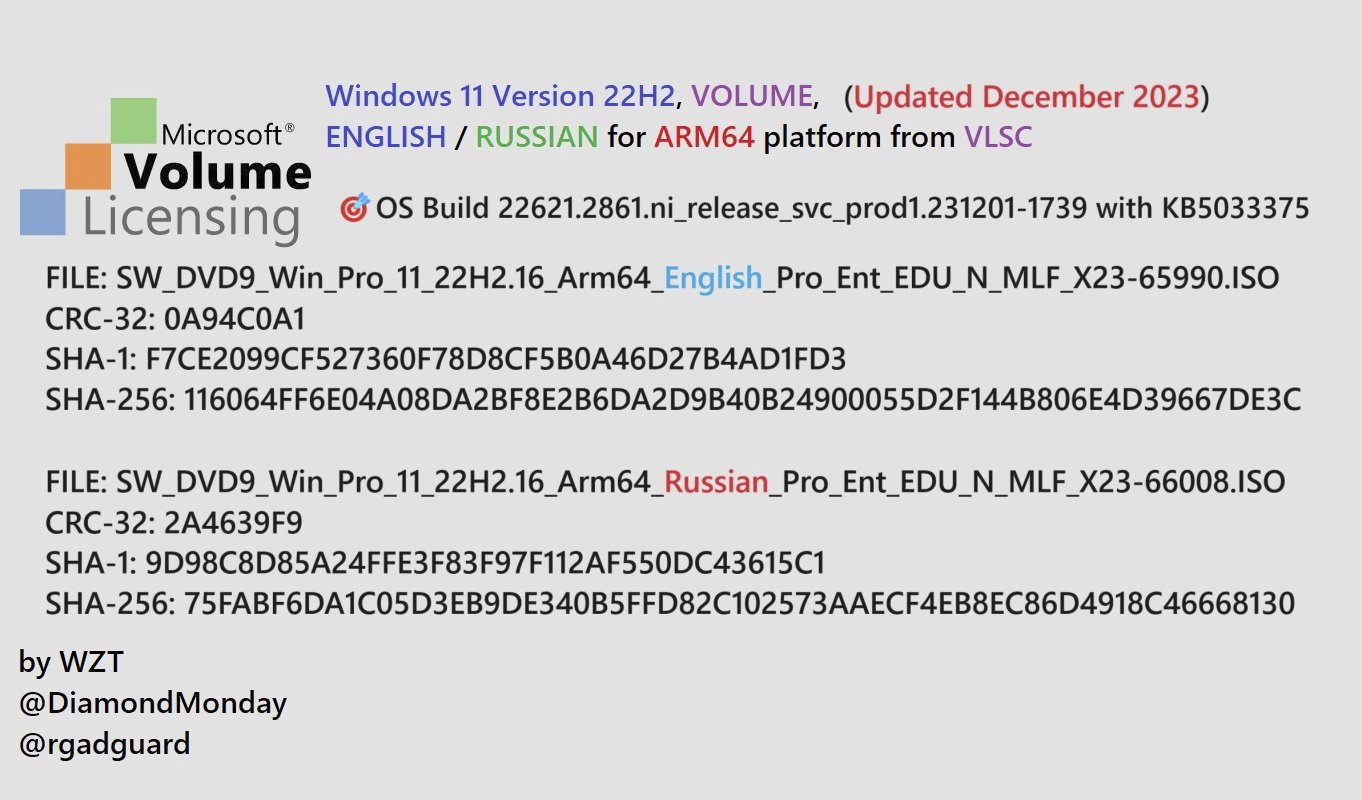 Microsoft Windows 11 Professional Volume Licence